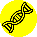 Biometric Intelligence